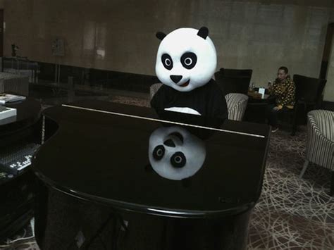 The Haoduo Panda Hotel Worlds First Panda Hotel 8 Pictures