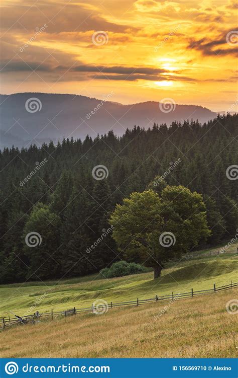 Summer Sunrise In The Carpathians Stock Photo Image Of Farm Morning