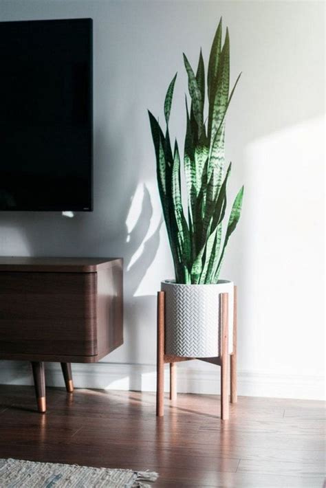 Indoor plants are extremely versatile and can be used in numerous different ways to enhance and refresh and room's décor and they're a great option for modern and contemporary homes. 33+ Beauty Indoor Plants Decor Ideas For Your Home And ...