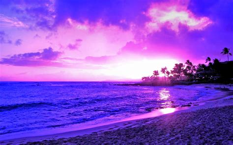 Beautiful Purple Sunset Beach Hd Wallpapers