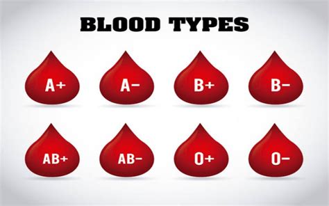 Ini Karakter Manusia Dari Golongan Darah A B AB Dan O