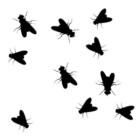 Premium Vector Silhouette Of A Crawling Fly On A White Background