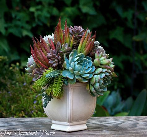 Floral Style Succulent Container Arrangement By The Succulent Perch