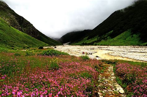 Valley Of Flowers The Alluring National Park Of Uttarakhand