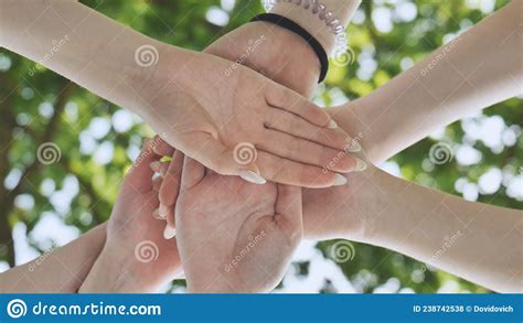 Group Of Female Hands Together In The Park Stock Photo Image Of