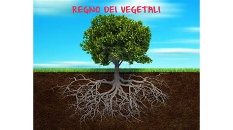 Il Regno dei Vegetali by Daniele D Incà on Prezi