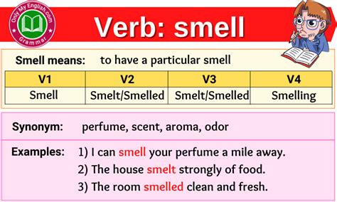 Smell Verb Forms Past Tense Past Participle And V1v2v3