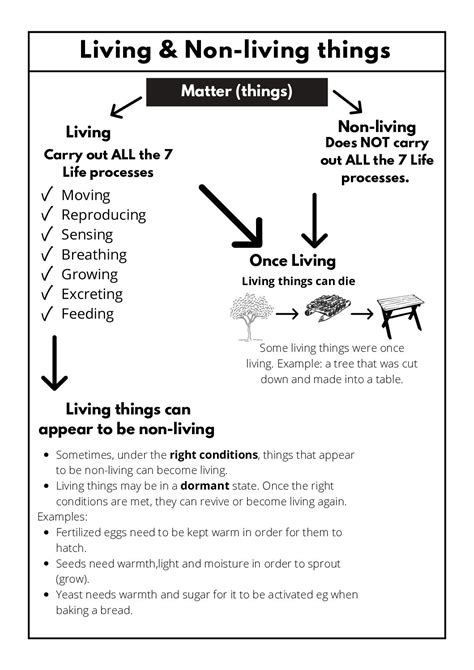 Natural Sciences And Technology Grade 4 Worksheets Teacha