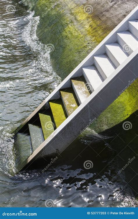 Stairs Rising Out Of The Water Stock Image Image Of Netherlands