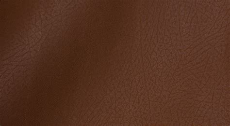 Shoe Leather Texture