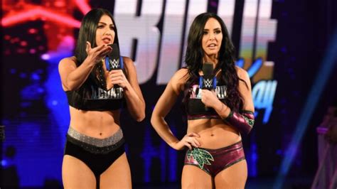 WWE Superstars Criticize Comments About Peyton Royce Made By Dave Meltzer