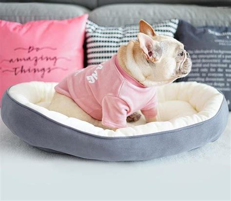 Beds And Houses For French Bulldogs Frenchie World Shop