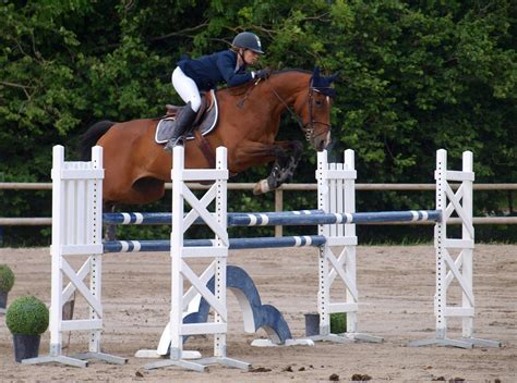 Équitation Jumping De Brest Trois Jours De Compétition Et D