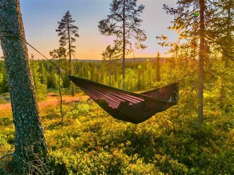Trip To Lapland In Summer With Kids Things To Do In Rovaniemi