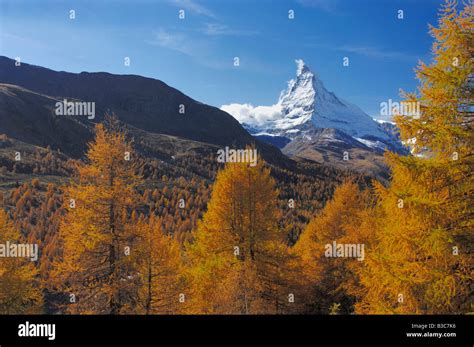 Matterhorn With Larch Trees In Autumn Zermatt Valais Switzerland