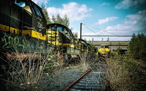 1080p Free Download Abandoned Trains R Railway Growths Cargo