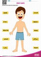 Body Parts Worksheet For Preschool / Human body crafts | Crafts and ...