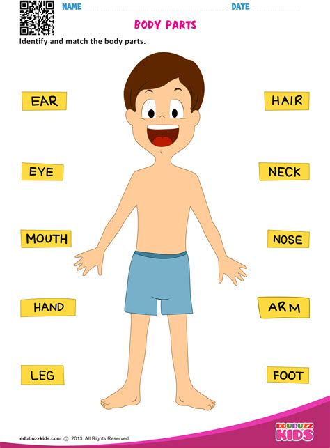 Make free writing worksheet for practice using body parts: Pin on Science Worksheets