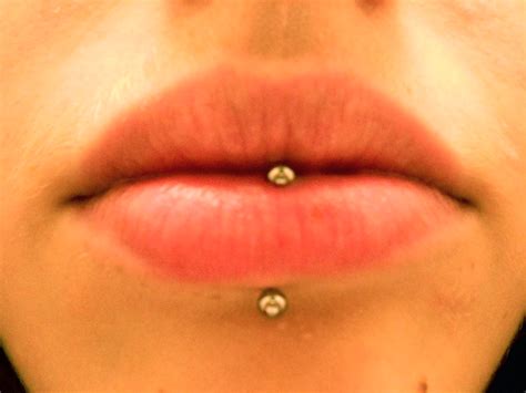 File Vertical Labret Png Wikipedia