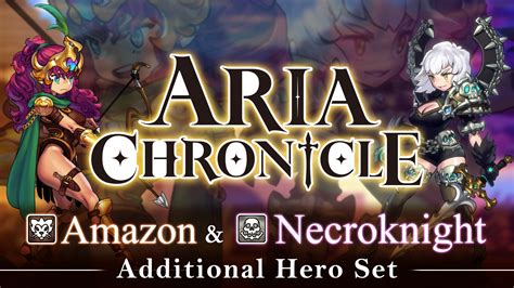 aria chronicle amazon and necroknight bundle bundle nintendo switch nintendo