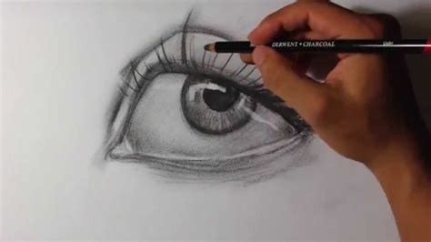 Drawing nature for the absolute beginner: Intro to Charcoal Drawing - Easy Things To Draw - YouTube
