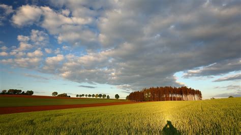 Nature Field 4k Ultra Hd Wallpaper