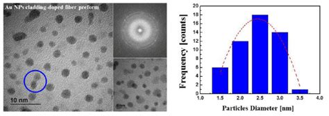 Tem Image And The Size Distribution Of Au Nps Incorporated In The