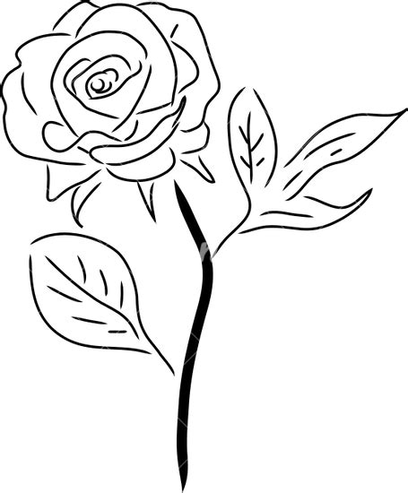 Drawings Of Roses Png Clipart Background Png Play