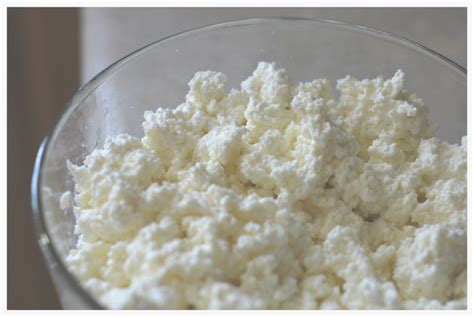 Preppers Cheese Simple To Make From Powdered Milkpreparedness Advice
