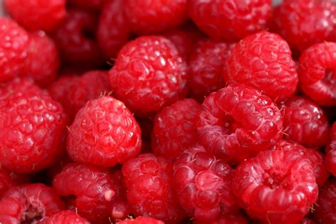 Free Images Plant Raspberry Fruit Berry Food Red Produce