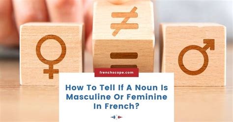 French Noun Gender Explained Rules Tips And Examples