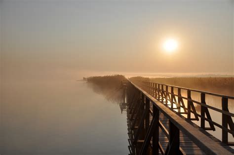 Der federsee bei bad buchau ist mit 33 km² das größte zusammenhängende moorgebiet südwestdeutschlands. Bad Buchau-Federsee Foto & Bild | natur, landschaft ...