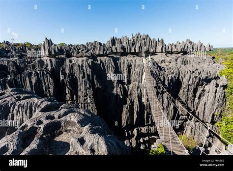 Madagascar North West Region Tsingy De Bemaraha Strict Nature Reserve