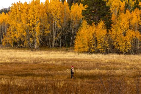 Best Spots To See Fall Foliage In Lake Tahoe Catherine Chicotka