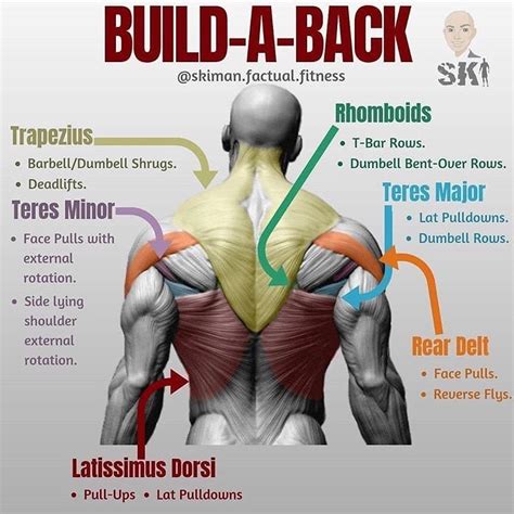 Pin By Hiker270 On Back Exercises Dumbbell Workout Plan Dumbbell