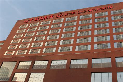 Chaoyang Hospital Beijing Lopo China Terracotta Facade Panel Manufacturer