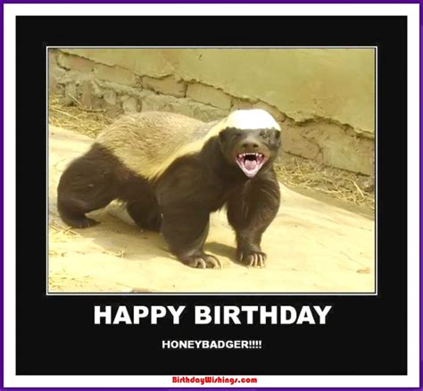 Funny Happy Birthday Memes With Cats Dogs And Funny Animals