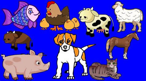 Domestic Animals For Children Animals Song Picture Book Learning