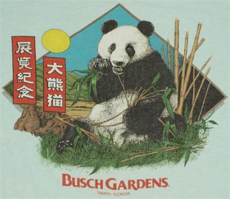 Vintage Giant Panda Busch Gardens Tampa Florida T Shirt Defunkd