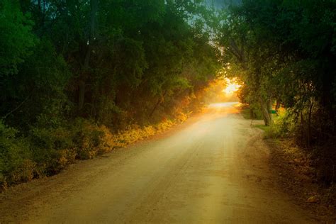 Forests Nature Roads Sunset Trees Wallpaper Wallpapers And Images
