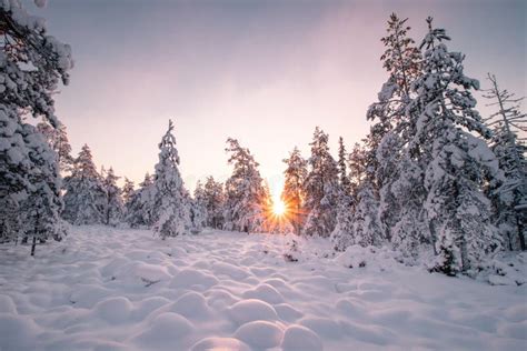 View Of The Snowy Landscape Of Finnish Tundra During Sunrise In