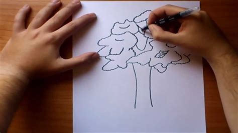 Como Dibujar Un Arbol Paso A Paso 2 How To Draw A Tree 2 Youtube