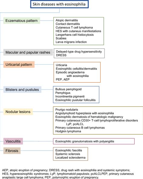 Clinical Patterns Of Skin Diseases With Eosinophilia And Examples