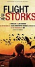 Flight of the Storks - Season 1 - IMDb