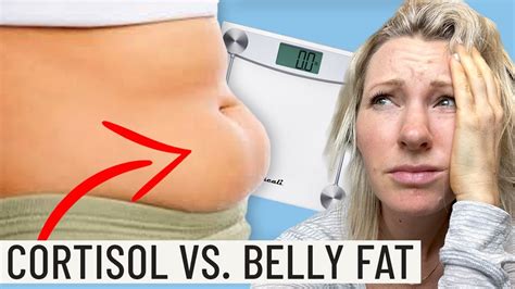 Is Your Diet Making You Gain Belly Fat Weight Loss And Cortisol Facts