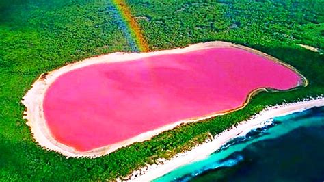 17 Amazing Things In Nature You Wont Believe Actually Exist