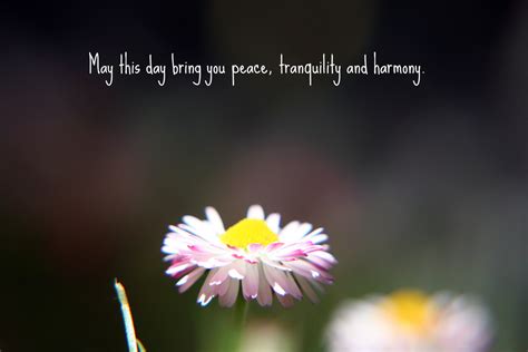 Quotes About Peace And Tranquility 46 Quotes