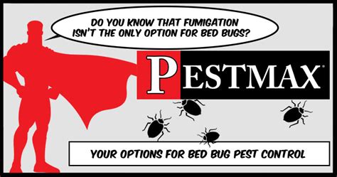 How To Fumigate Bed Bugs Bed Bug Get Rid