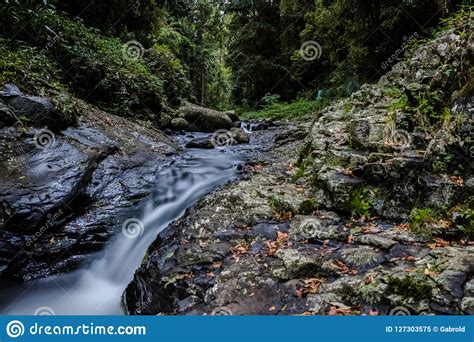 Flowing Stream Among Green Rocks Stock Image Image Of Copy Season