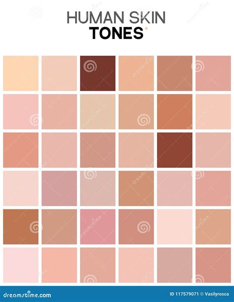 Skin Tone Color Chart Human Skin Texture Color Infographic Palette